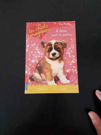 A deux tout va mieux - Sue Bentley