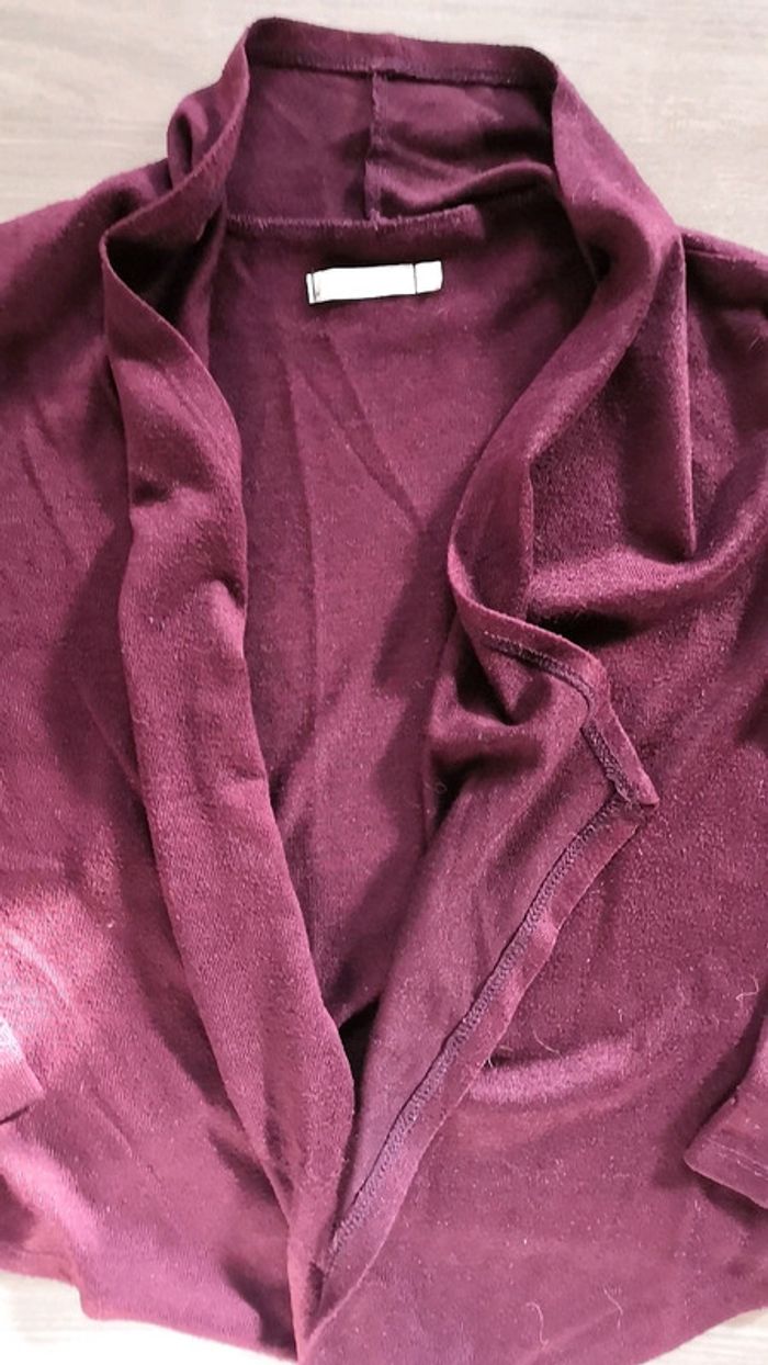 Gilet fille Gemo 10 ans - photo numéro 2