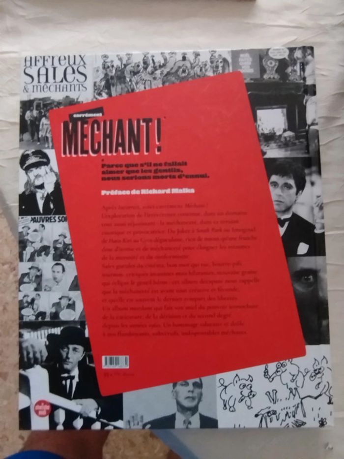 Livre carrément méchant - photo numéro 2