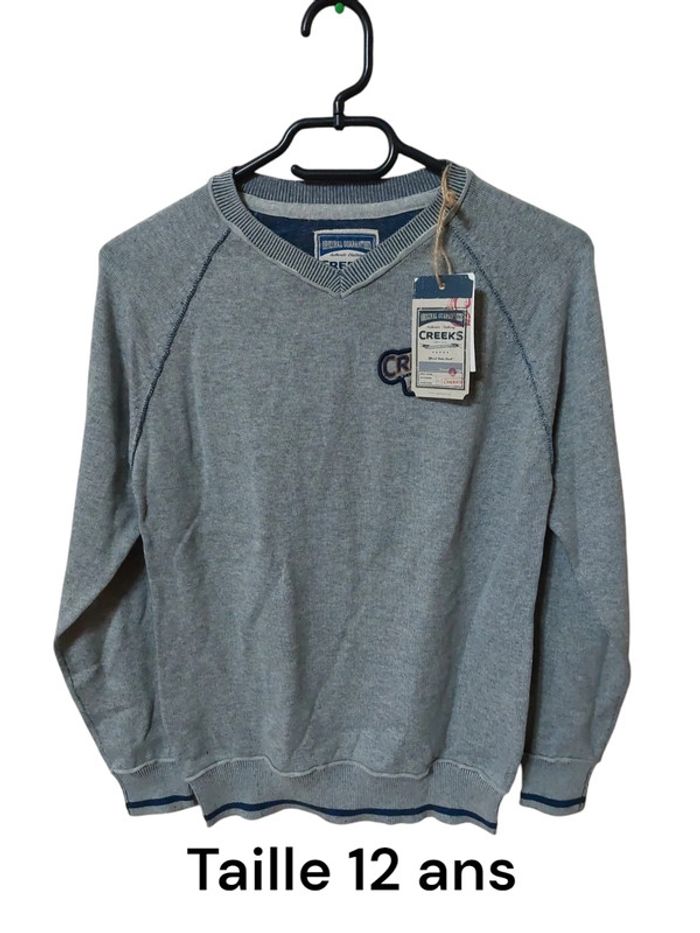 Pull garçon T.12 ans Neuf avec étiquette (creeks)
