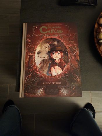 Les carnets de cerise tome 1