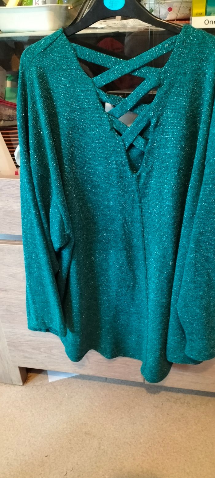 Pull grande taille - photo numéro 6