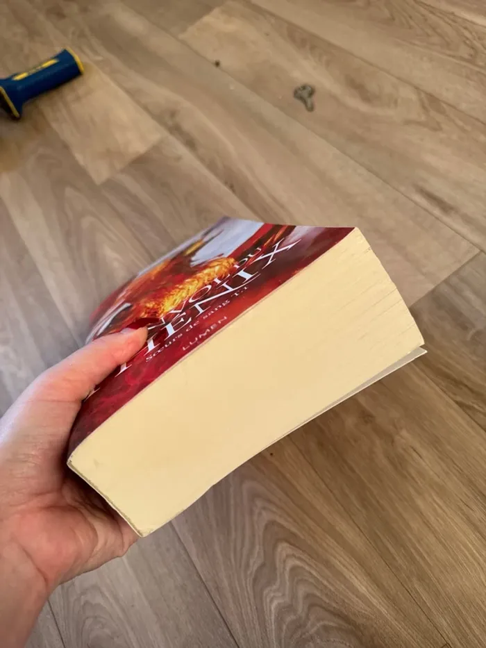 Nicki Pau Preto - L’envol du Phénix tome 1 - photo numéro 4