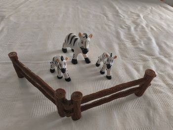 Les zèbres mes amis les animaux disney nature