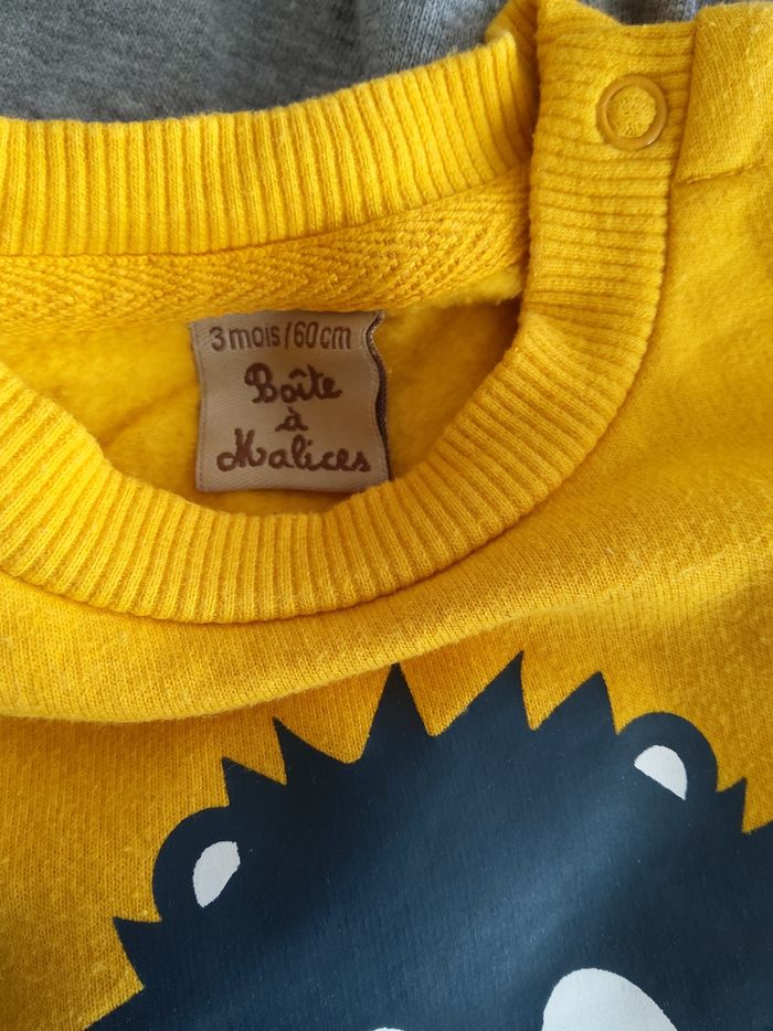 Ensemble jogging - photo numéro 4