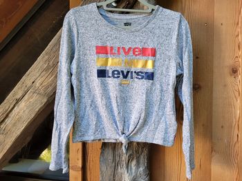 Superbe pull fin et tout doux Levi's, gris, 14 ans