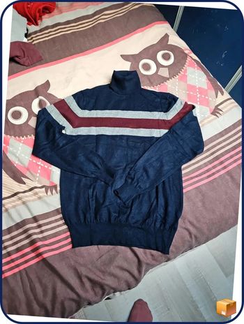 Pull fin col roulé M