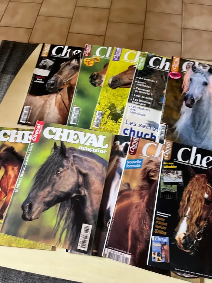 10 magazines sur les chevaux - photo numéro 3