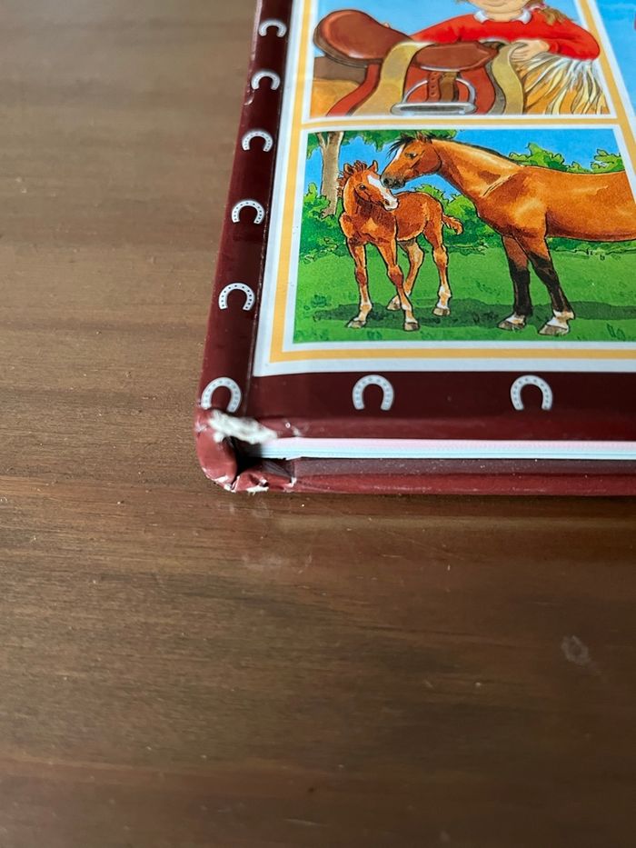 L’imagerie du poney et du cheval  FLEURUS - photo numéro 5