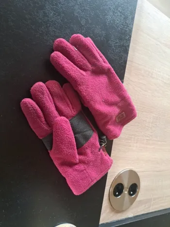 Gant polaire