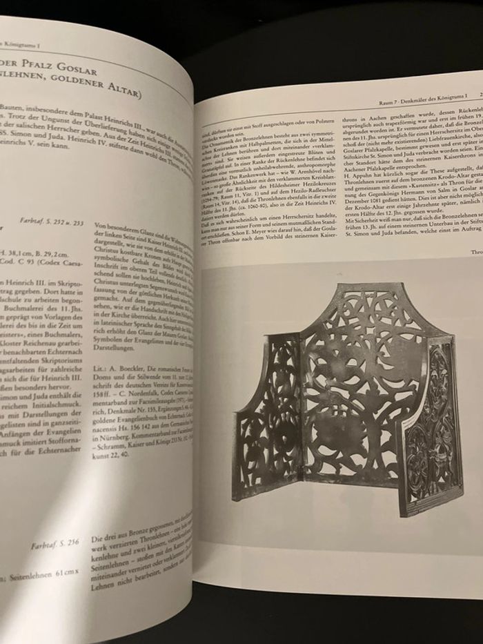 Introuvable sur Vinted ! Livre en allemand Das Reich der Salier 1024-1125 - photo numéro 9