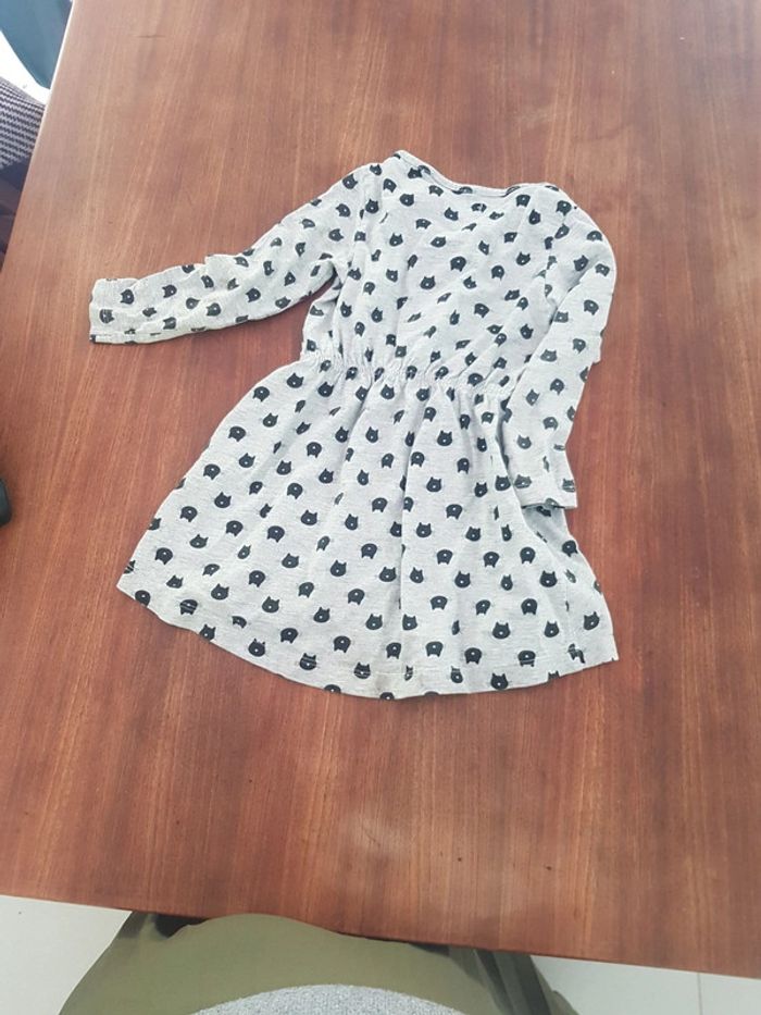 Robe chat - photo numéro 3