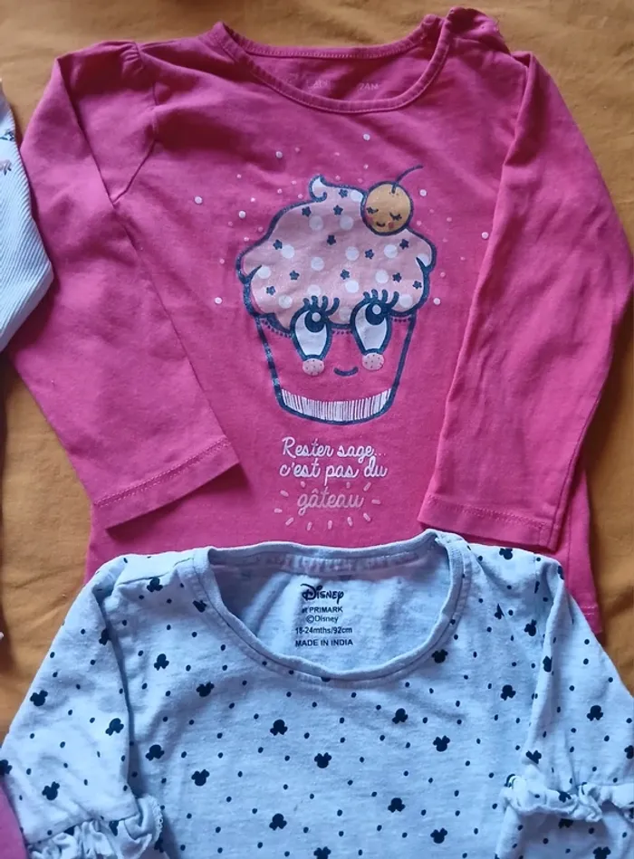 Lot de 4 Tee-shirts manches longues 24 mois - photo numéro 4