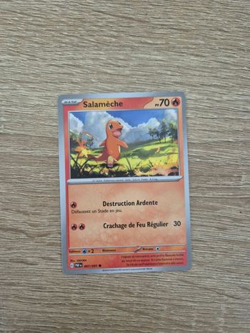 Salamèche Destinées à Paldea 