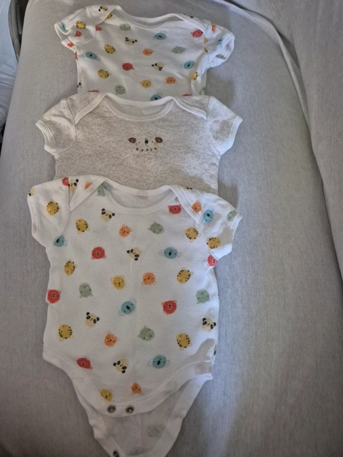 Lot 5 bodies demis manche