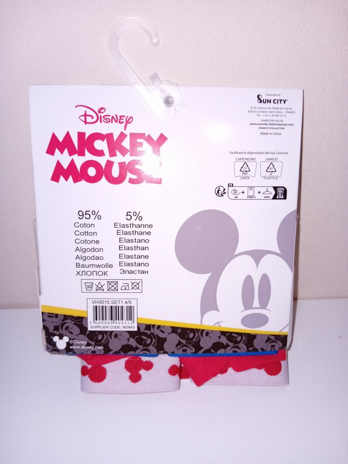 Boxer Mickey - photo numéro 3