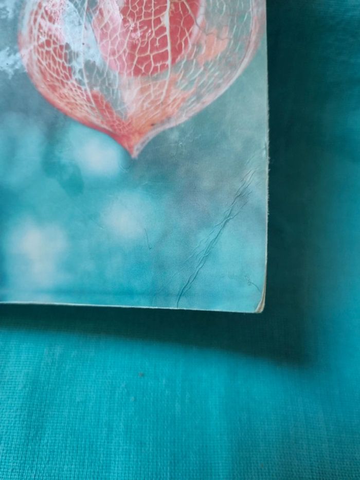 L'héritier des beaulieu - photo numéro 3