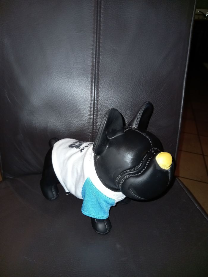 Chien peps bully 23 - photo numéro 5