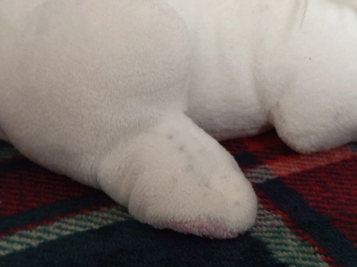 Peluche Astérix et Obélix de Idéfix - photo numéro 6