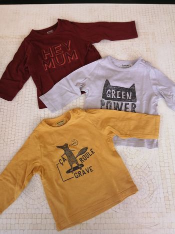 Lot 3 tee shirts 6mois