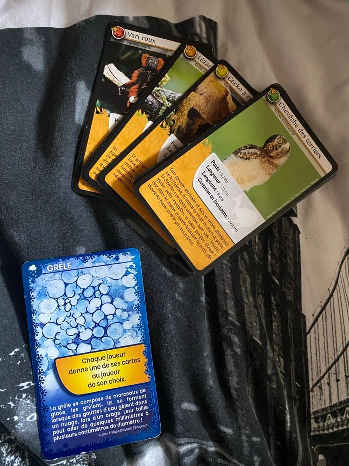 Jeu de carte - photo numéro 2