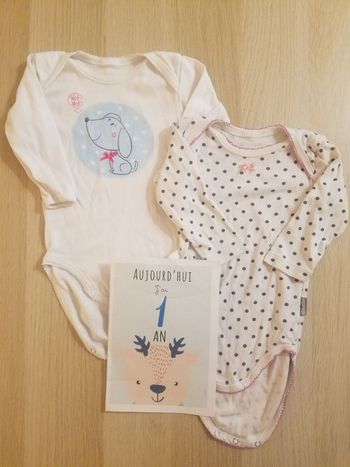 Lot 2 bodies Absorba 12 bodiemois