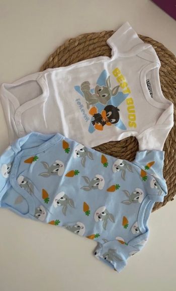 Lot body Looney Tunes