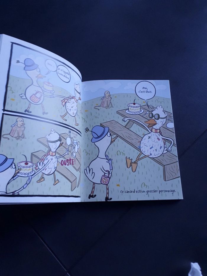 Livre des canards trop bizarres - photo numéro 5