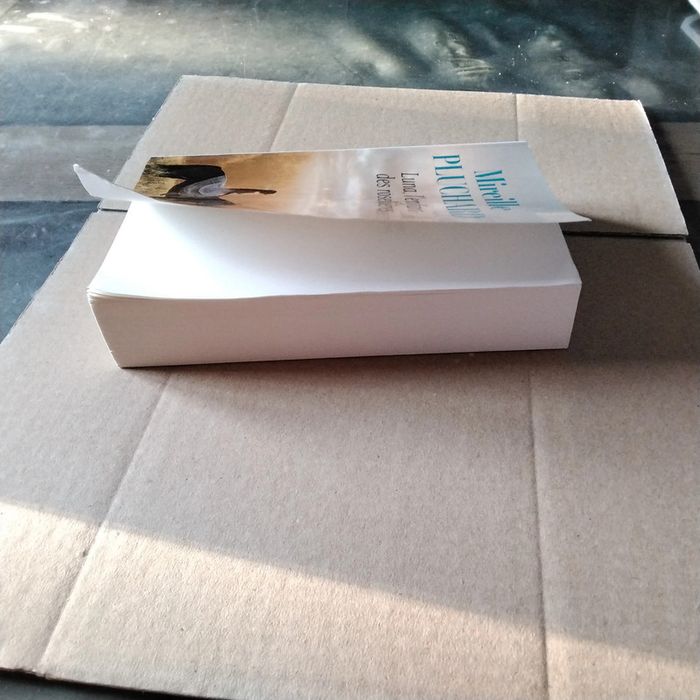 Luna, l’ enfant des roselières Mireille Pluchard - photo numéro 6