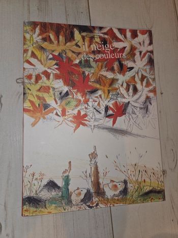 Livre jeunesse "Il neige des couleurs"