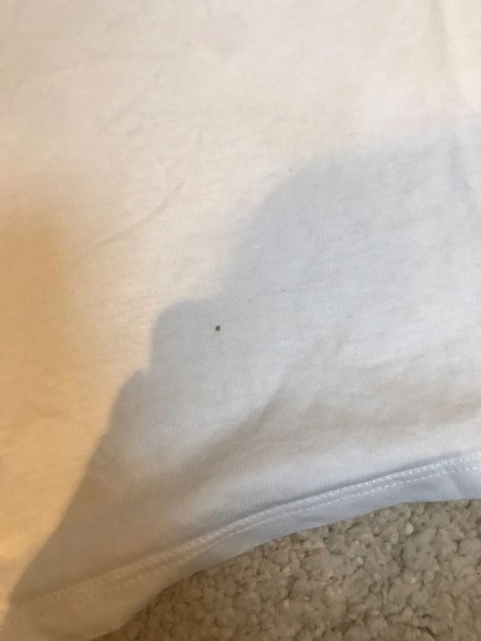 T-shirt à col - photo numéro 3