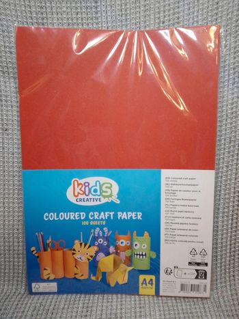 Papier de couleur A4 multicolore x100