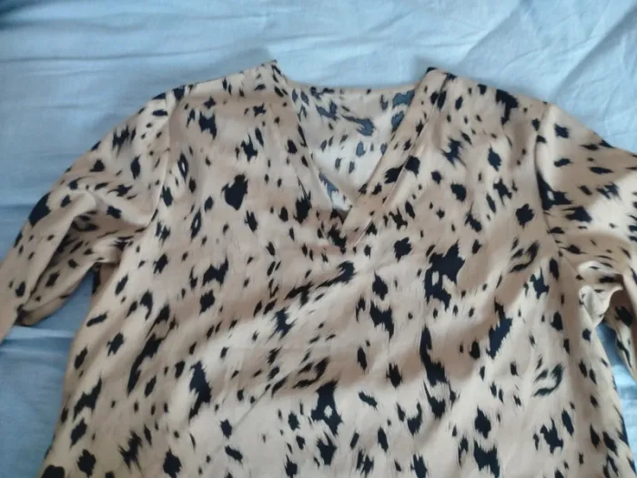 Robe ou tunique un peu léopard - photo numéro 3