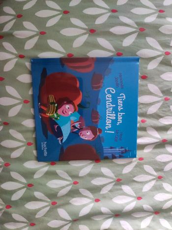 Tien bon cendrillon