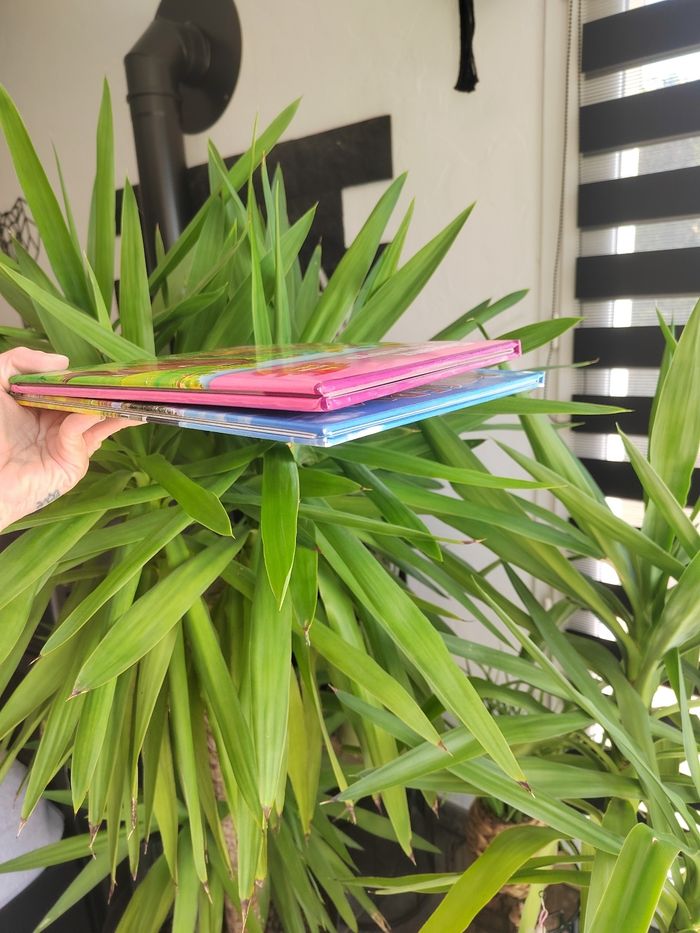 Lot de 2 livres sur les  chevaux pour enfant - photo numéro 3