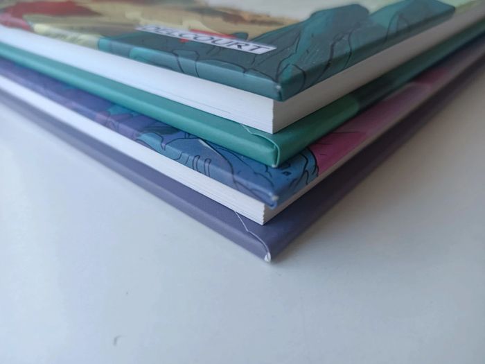 BD obscurcia chapitres 1 et 2 (édition delcourt) - photo numéro 6