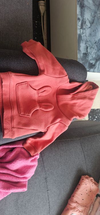 Sweat a capuche l 1 mois 