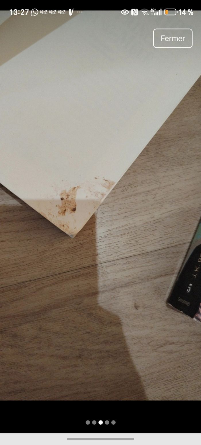 Lot de 2 livres Harry Potter - photo numéro 3