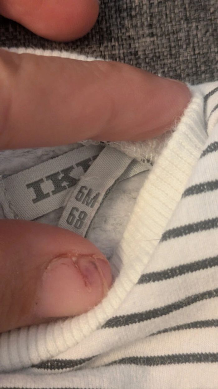 Pull IKKS 6 mois - photo numéro 4