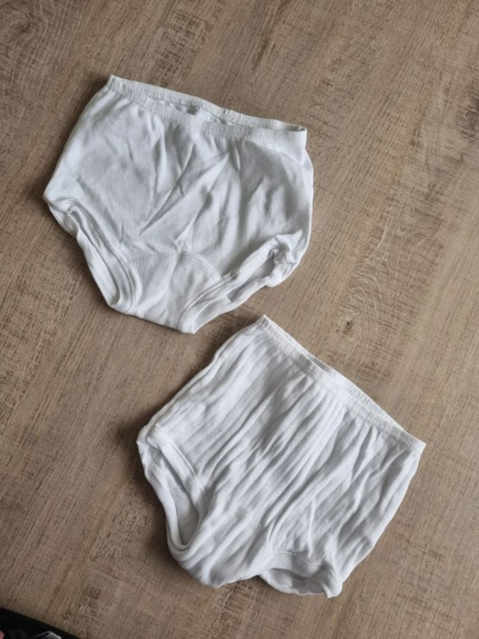Lot de 2 culottes de couche - photo numéro 2