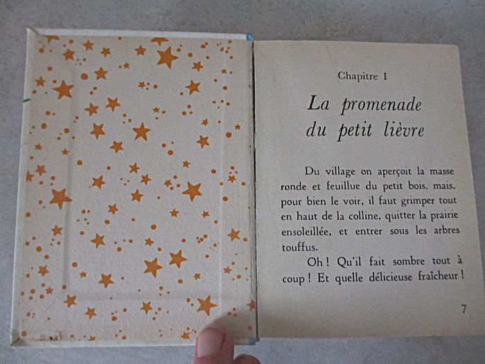 Livre enfant Les Animaux du Petit Bois – Anne-Marie Dalmais - photo numéro 3