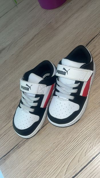 Basket puma
