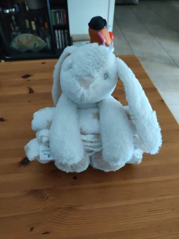 Doudou Lapin et plaid