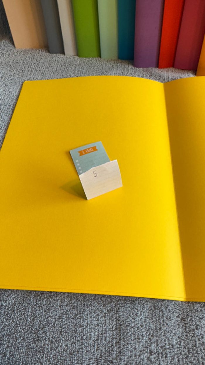Ensemble de 5 chemises rigides jaune - photo numéro 5