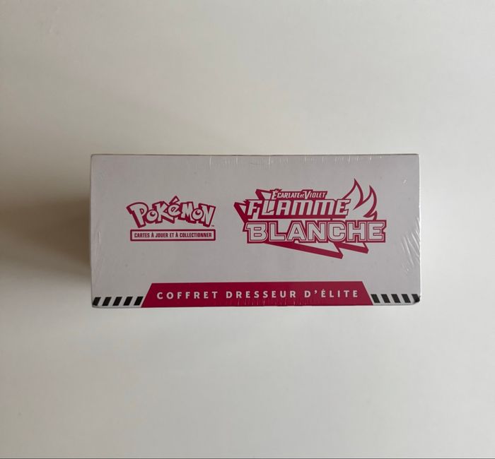 ETB EV10.5 Flamme Blanche - photo numéro 3