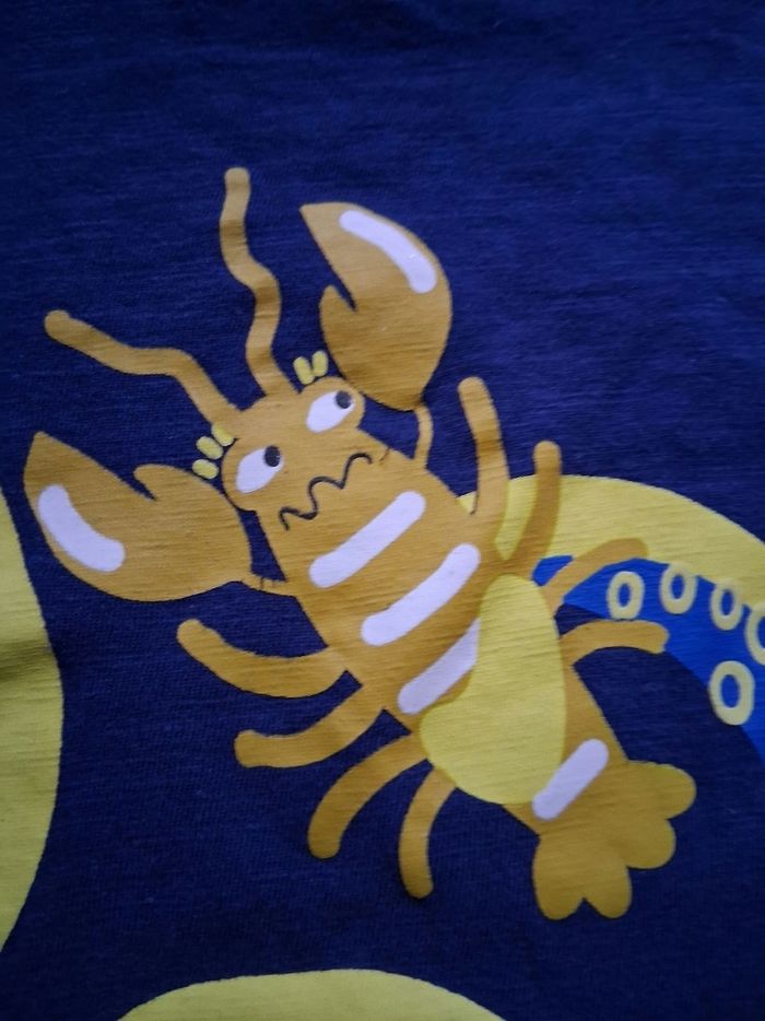 Tee-shirt - photo numéro 3