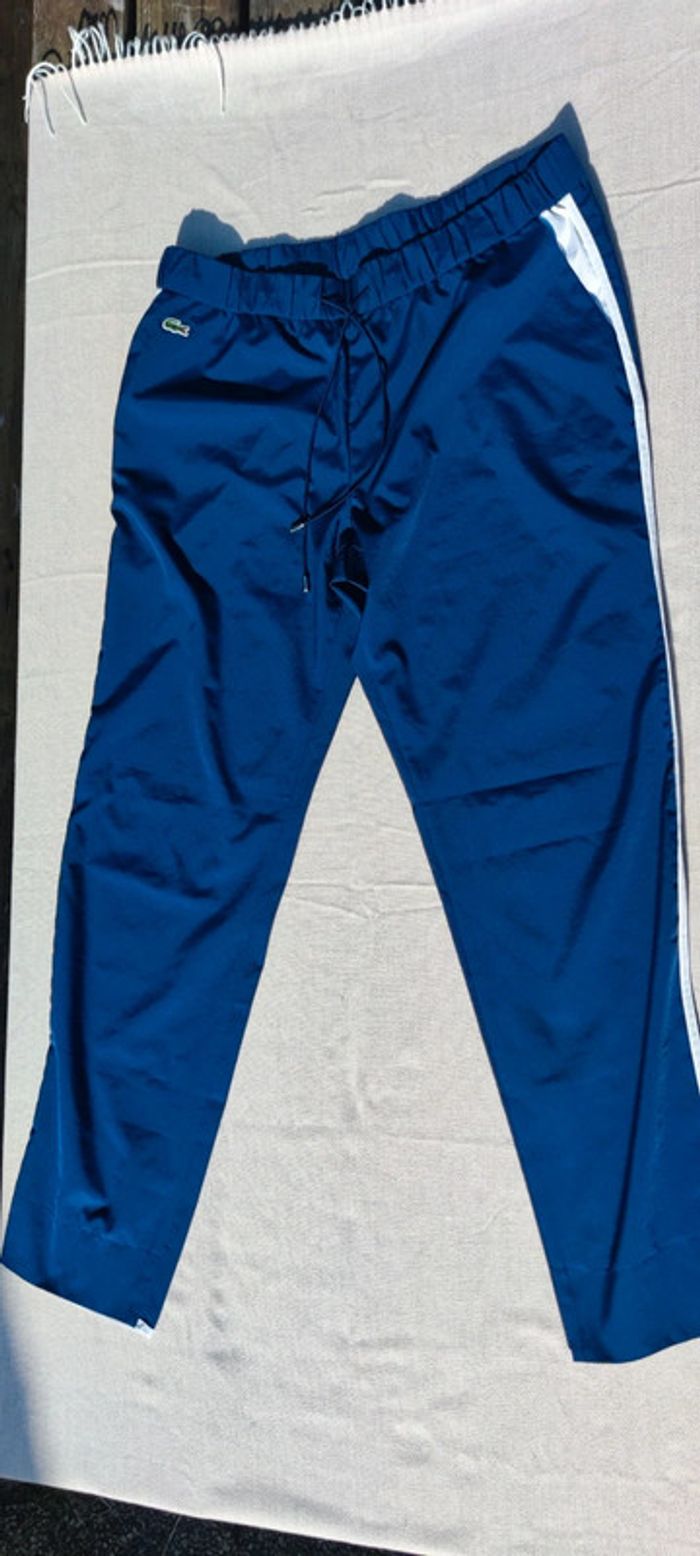 Pantalon jogging Lacoste - photo numéro 2