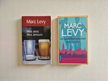 Mes amis mes amours - Marc Lévy 