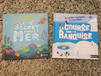 Lot 2 livres pour enfants