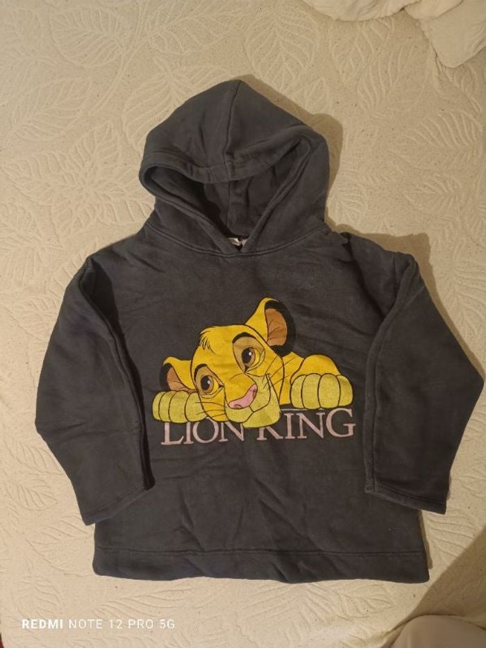 Sweat roi lion